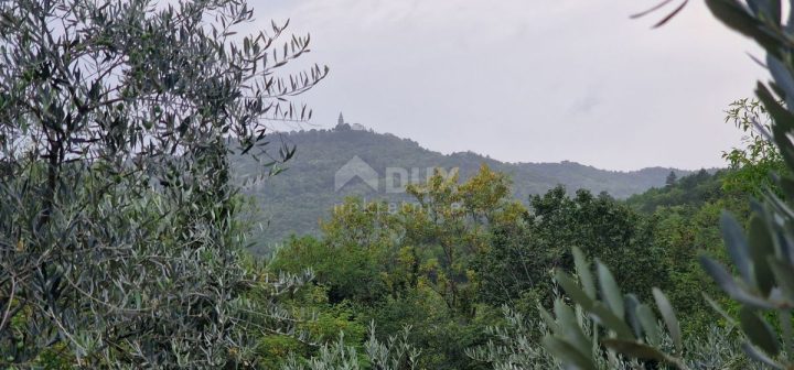 Hiša Naprodaj - Istarska Gračišće - foto 3/28