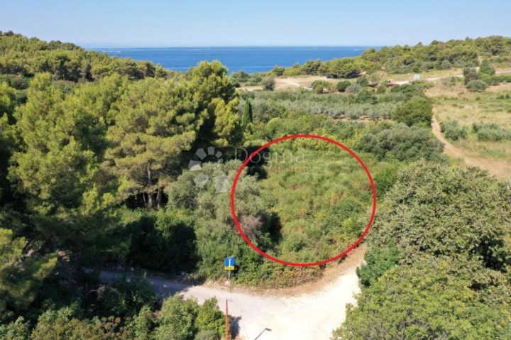 Grundstück zu verkaufen 1769 m² – Premantura
