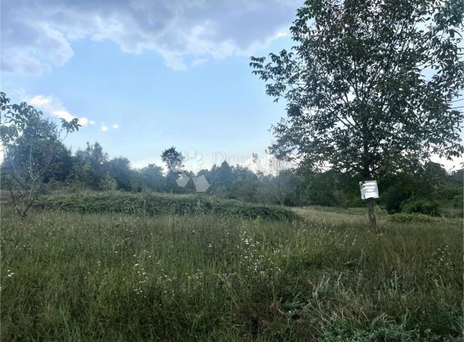 Grundstück zu verkaufen 3950 m² – Labin