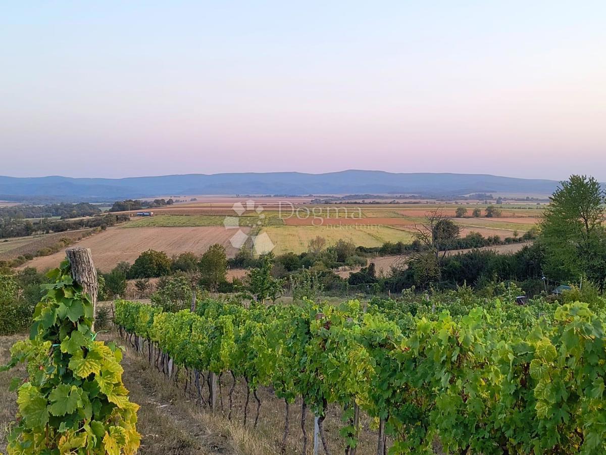 Zemljište Na prodaju - POŽEŠKO-SLAVONSKA KUTJEVO