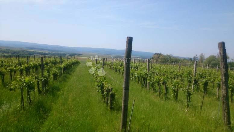 Zemljište Na prodaju - POŽEŠKO-SLAVONSKA KUTJEVO