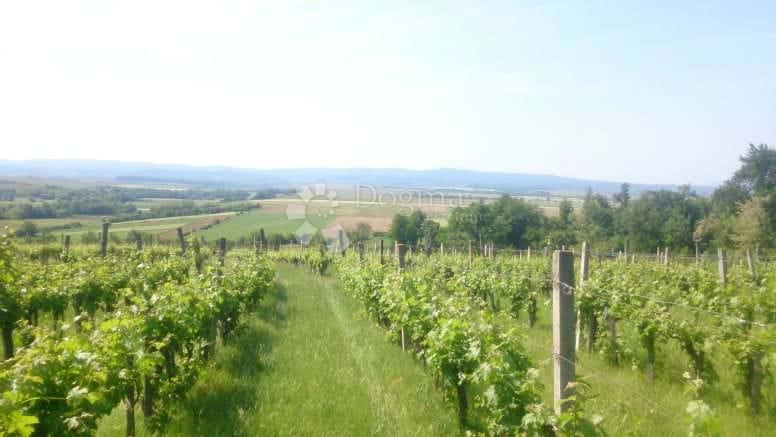 Zemljište Na prodaju - POŽEŠKO-SLAVONSKA KUTJEVO