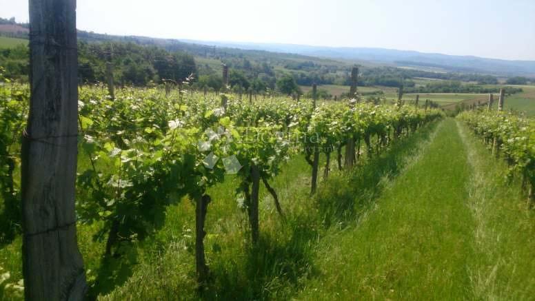 Zemljište Na prodaju - POŽEŠKO-SLAVONSKA KUTJEVO