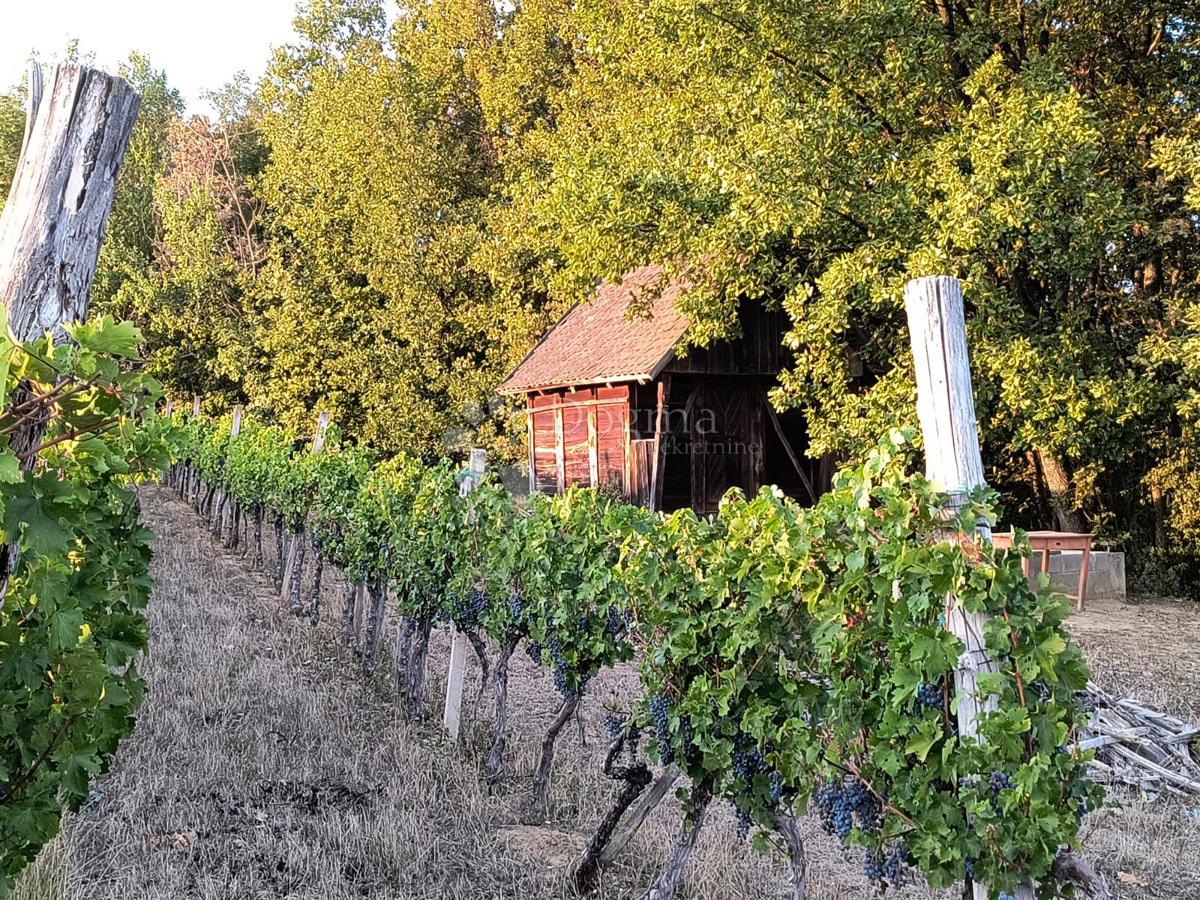 Zemljište Na prodaju - POŽEŠKO-SLAVONSKA KUTJEVO