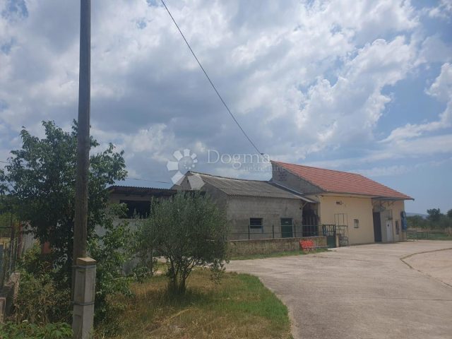 Locaux commerciaux À vendre DRNIŠ
