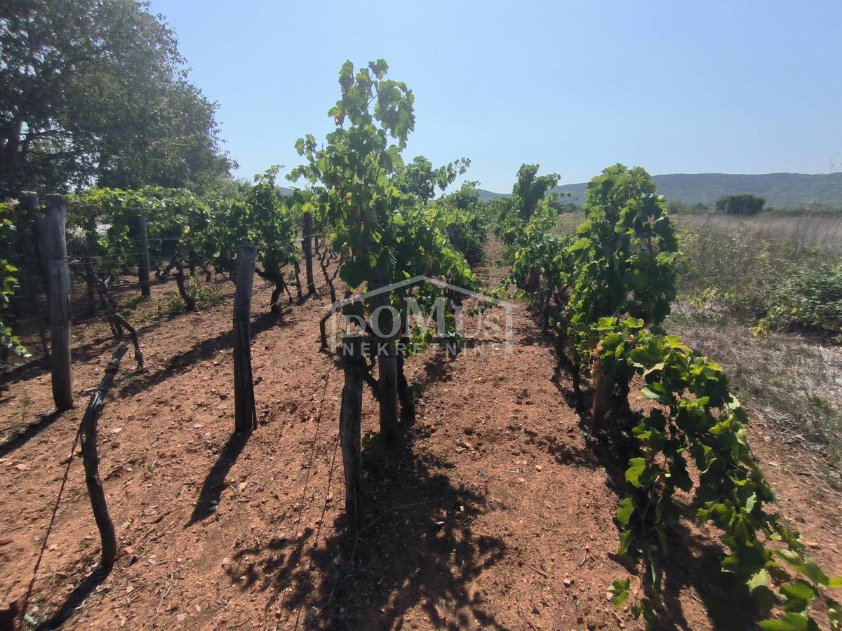 Zemljište Na prodaju - ŠIBENSKO-KNINSKA VODICE