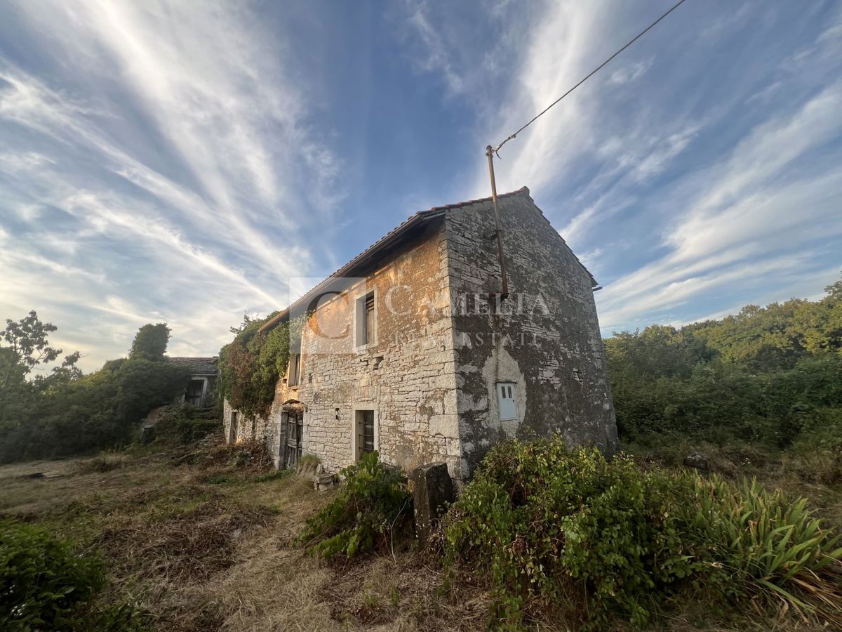 Stone houses Croatia - House For sale OPRTALJ