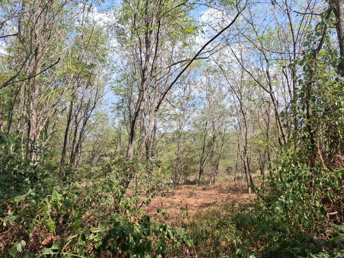 Terreno In vendita - ISTARSKA KAŠTELIR