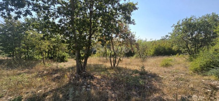 Terrain À vendre - Istarska Svetvinčenat - foto 2/13