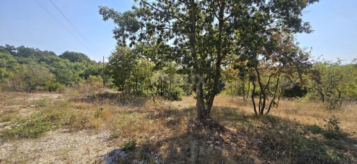 Terrain À vendre - Istarska Svetvinčenat - foto 3/13