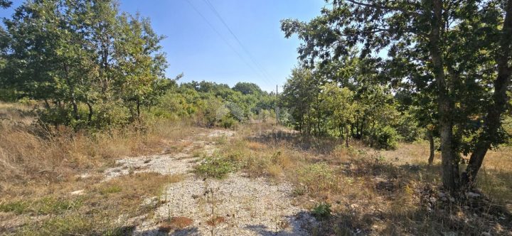 Terrain À vendre - Istarska Svetvinčenat - foto 5/13