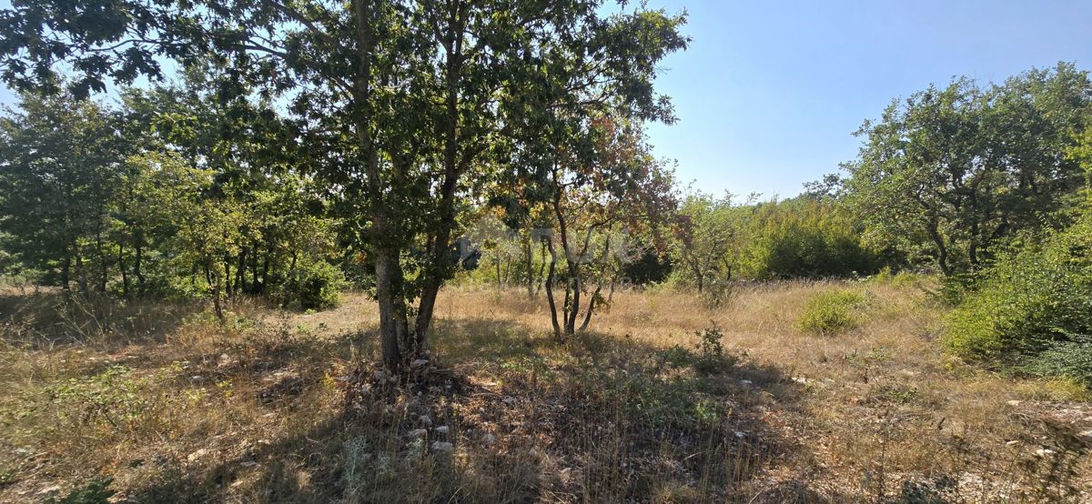 Parcela Na predaj - Istarska Svetvinčenat - foto 4/13