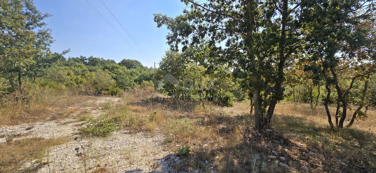 Parcela Na predaj - ISTARSKA SVETVINČENAT