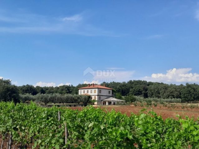 Casa in vendita – Umag