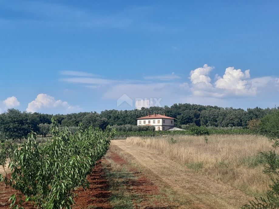 Hiša Na predaj - ISTARSKA UMAG