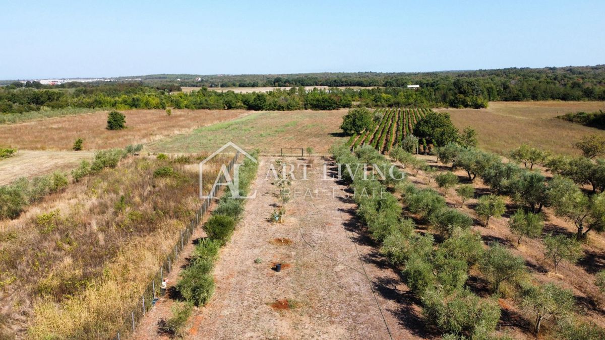 Terreno In vendita - ISTARSKA UMAG