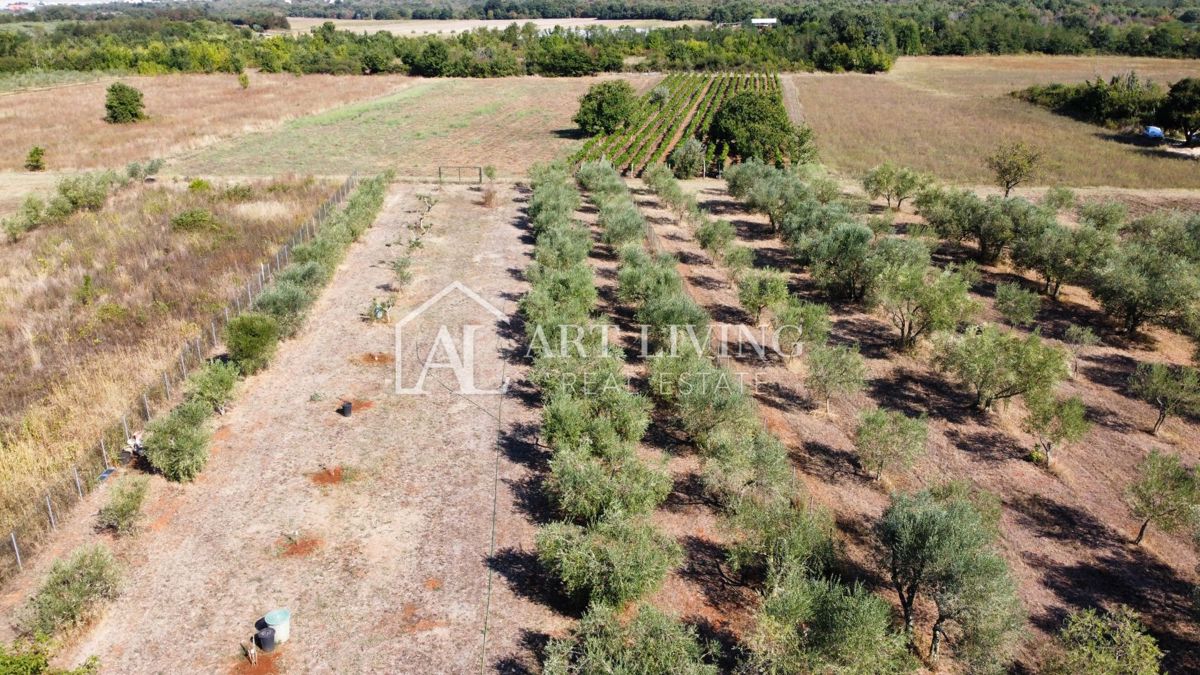 Terreno In vendita - ISTARSKA UMAG