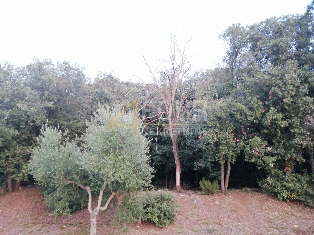 Land For sale - ISTARSKA PULA