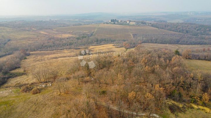 Parcela Naprodaj - Istarska Brtonigla - foto 3/3