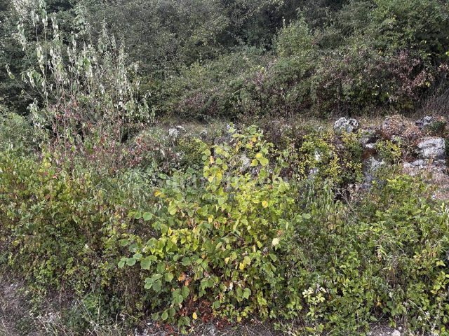House For sale - Primorsko-goranska Opatija - foto 2/6