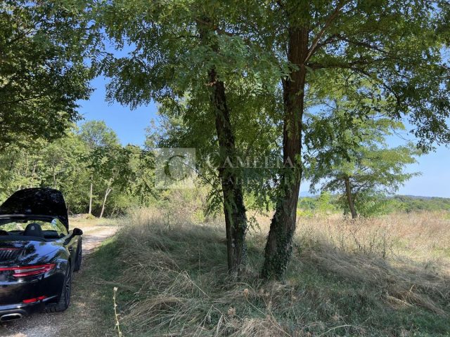 Land For sale - Istarska Pazin - foto 5/8