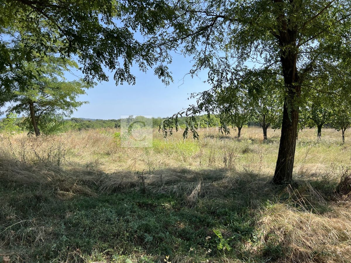 Land For sale - ISTARSKA PAZIN