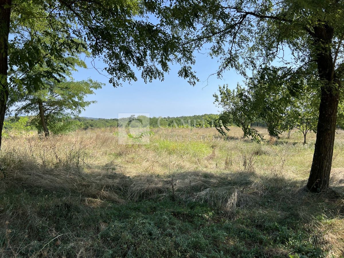 Pozemok Na predaj - ISTARSKA PAZIN