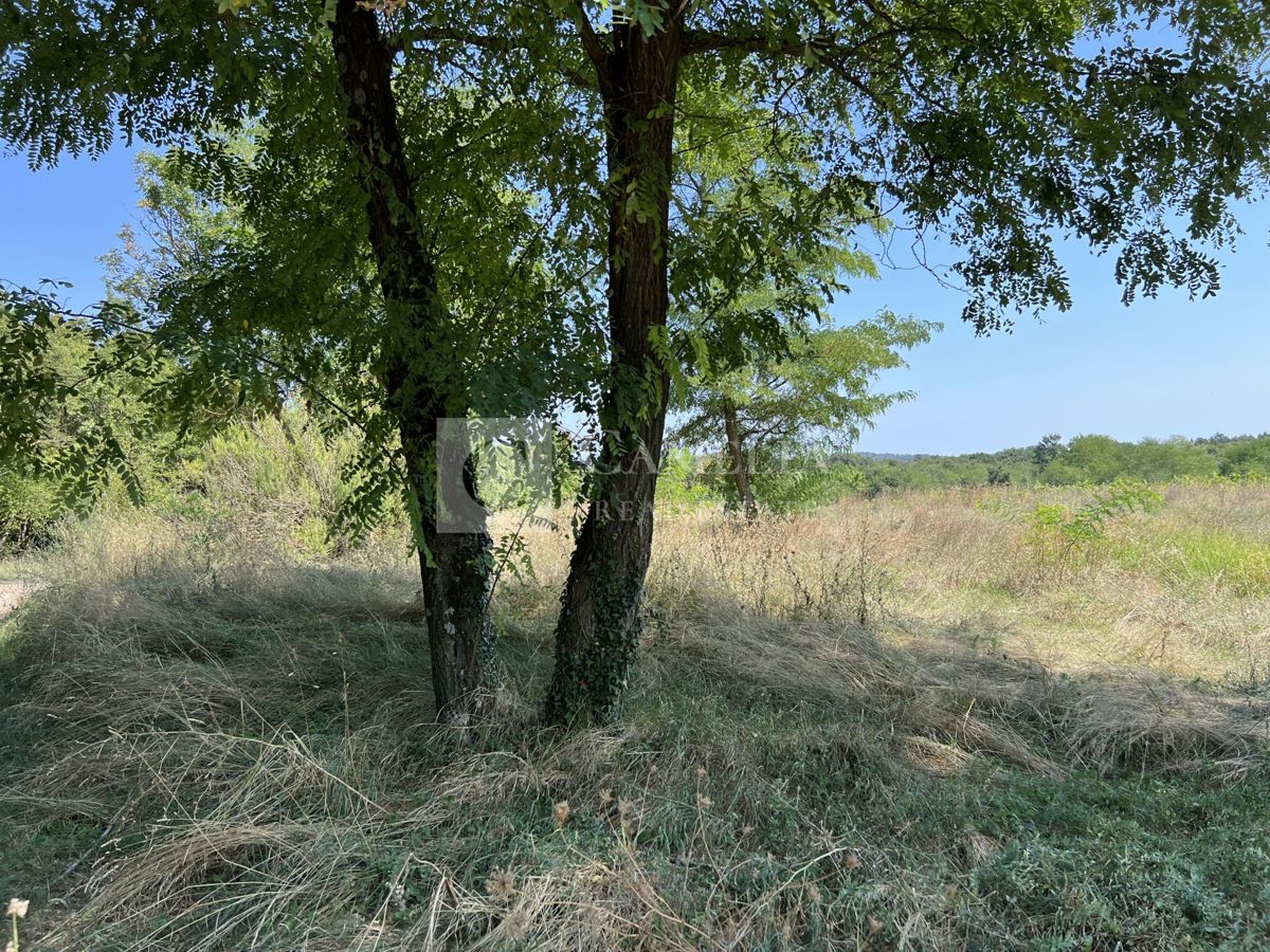 Land For sale - ISTARSKA PAZIN