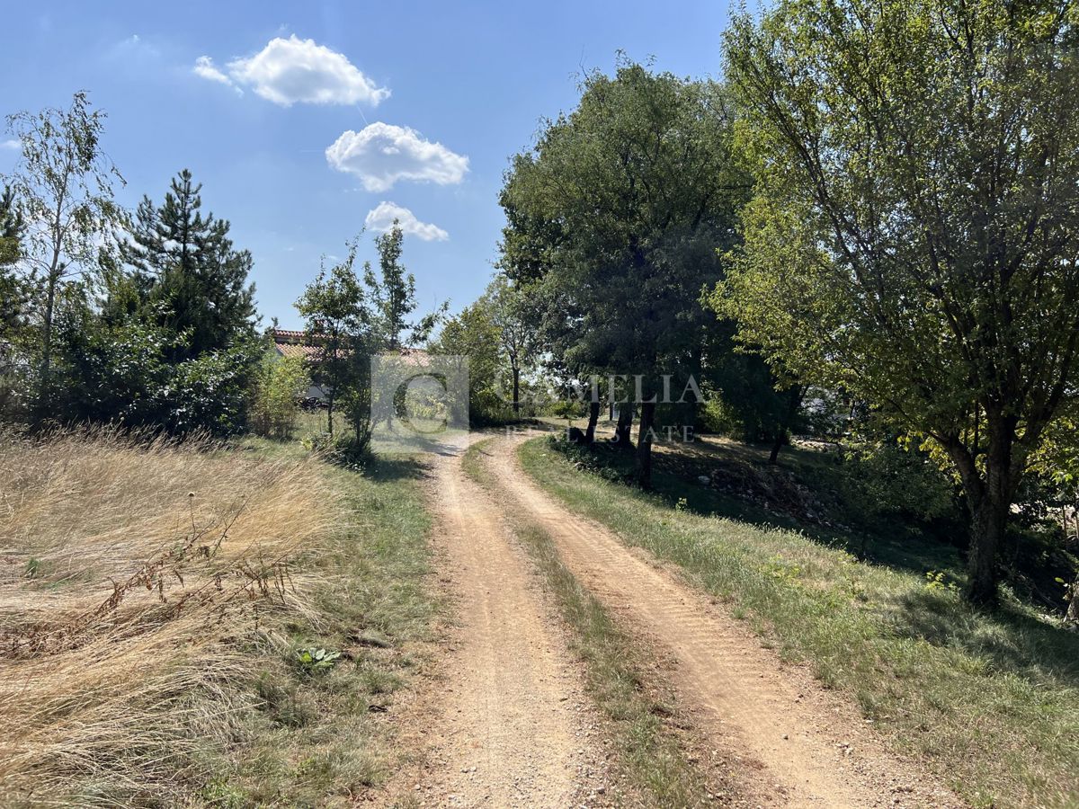 Land For sale - ISTARSKA PAZIN