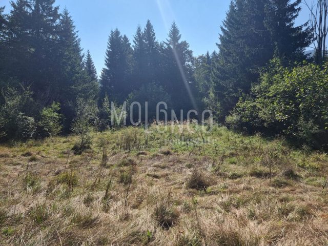 Działka na sprzedaż 2550 m² – Delnice