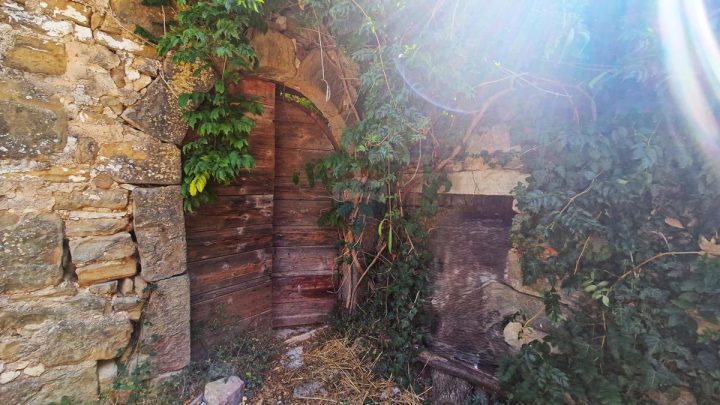 Haus Zu verkaufen - Istarska Buje - foto 5/10