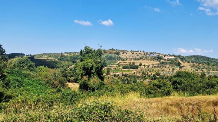 Pozemok na predaj 592 m² – Momjan