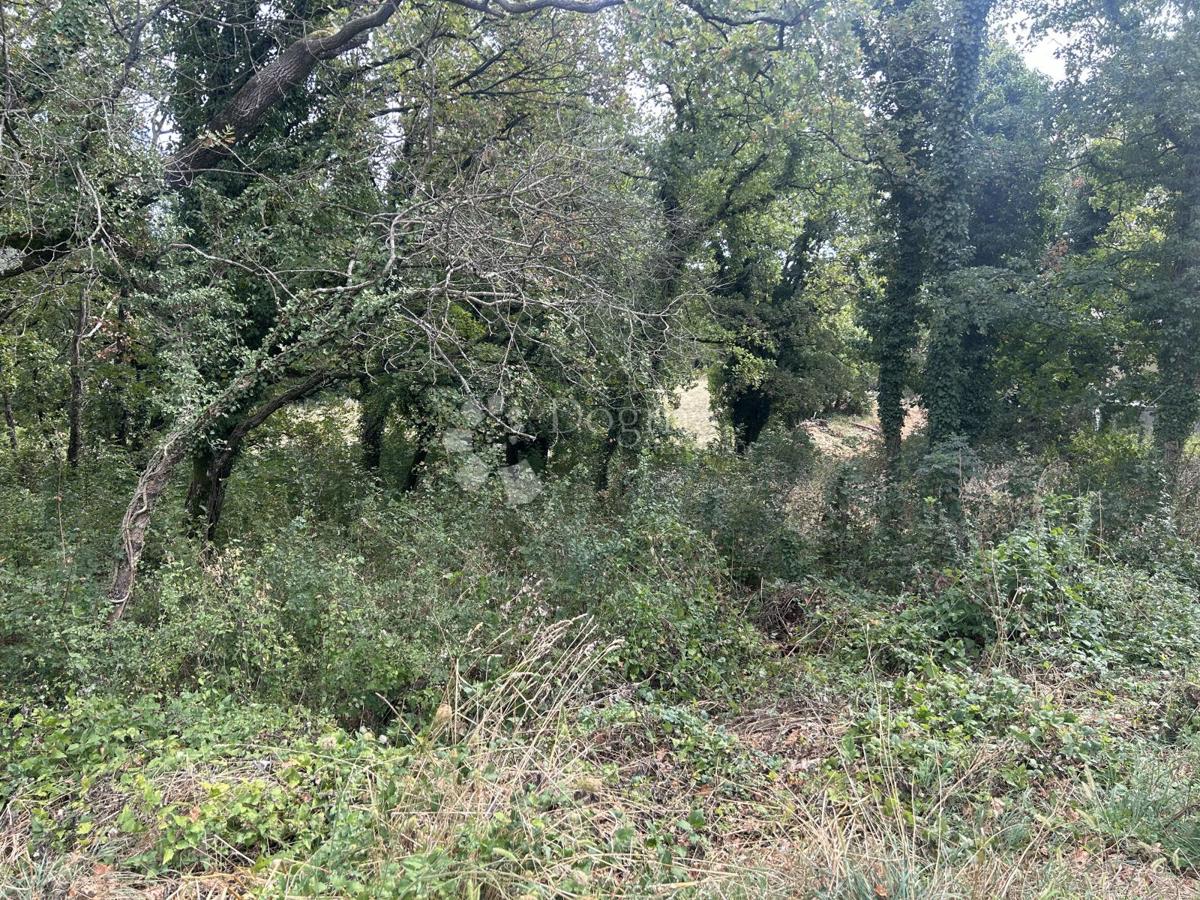 Land For sale MAVRINCI