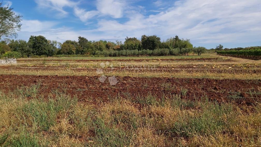 Parcela Na predaj - ISTARSKA MARČANA