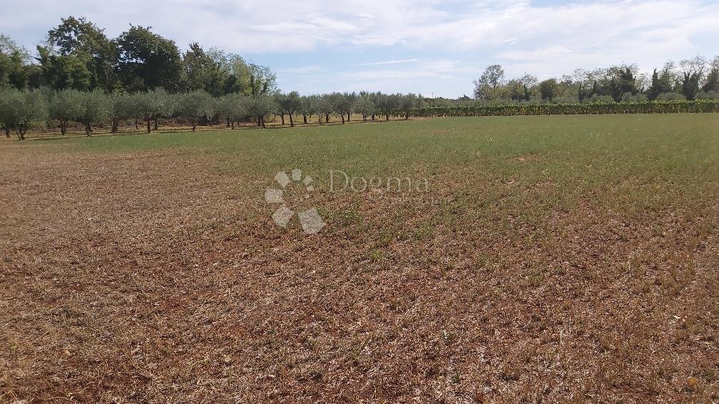 Parcela Na predaj - ISTARSKA MARČANA