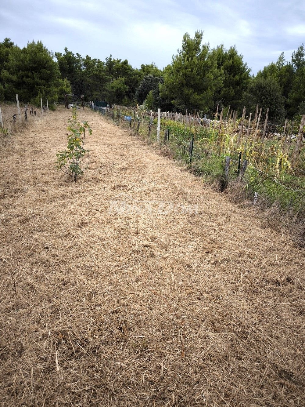 Terrain À vendre - ZADARSKA VIR