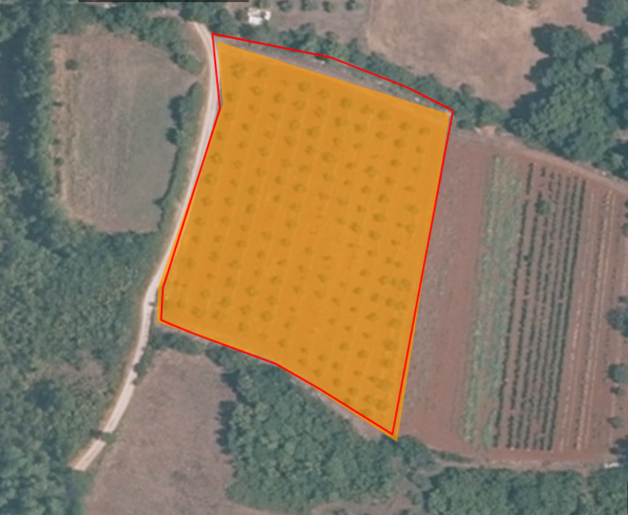 Land For sale - Istarska Tar-vabriga - foto 1/1