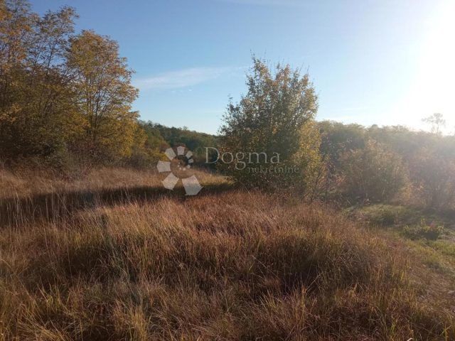 Land for sale 3975 m² – Gračišće