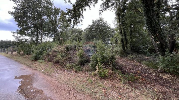 Grundstück Zu verkaufen - Istarska žminj - foto 4/6