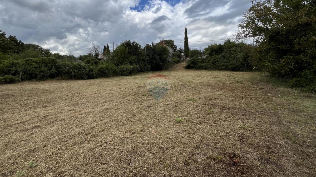 Terreno In vendita - ISTARSKA ŽMINJ