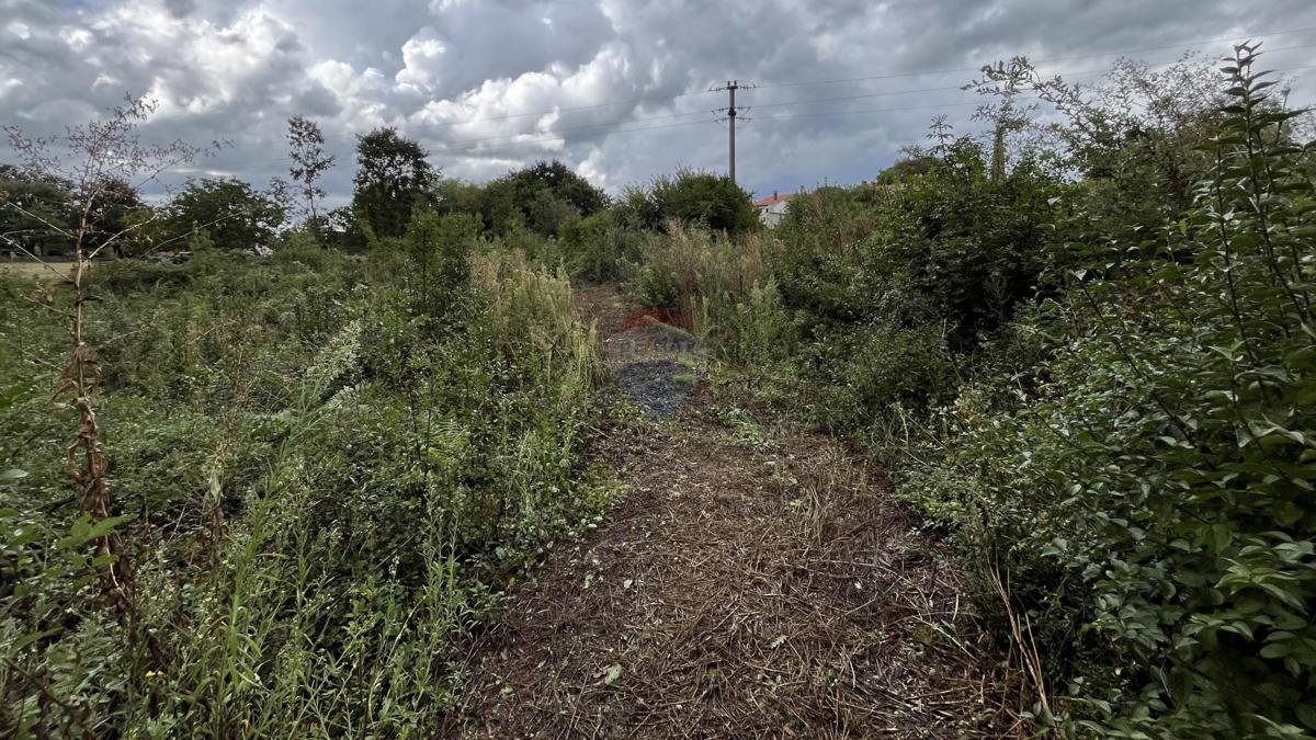 Terreno In vendita - ISTARSKA ŽMINJ