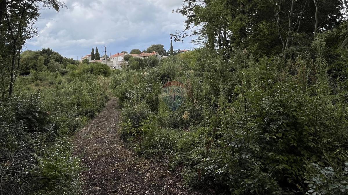 Terreno In vendita - ISTARSKA ŽMINJ