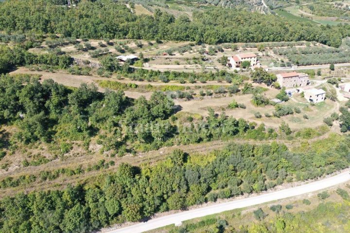 Dom na predaj 699 m² – Momjan