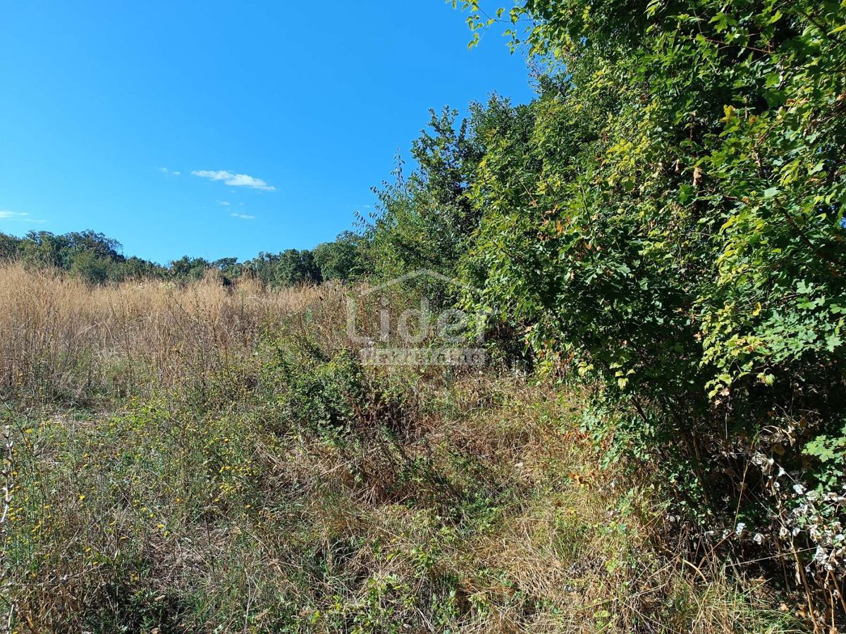 Land For sale - PRIMORSKO-GORANSKA ČAVLE