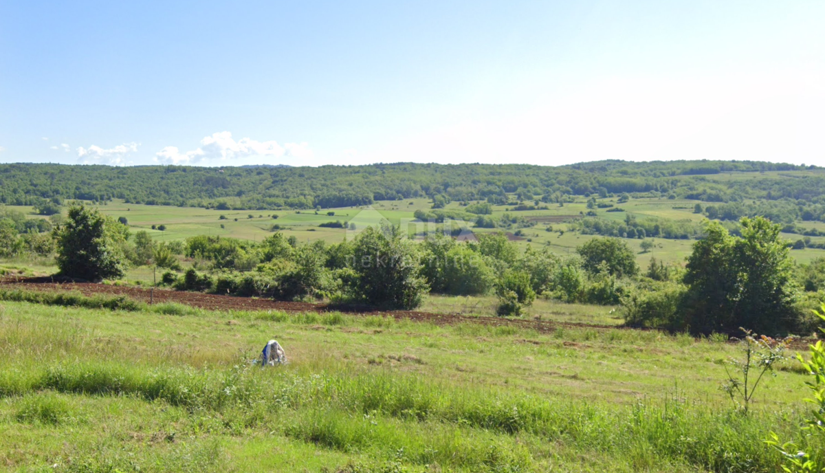 Pozemok Na predaj - ISTARSKA GROŽNJAN