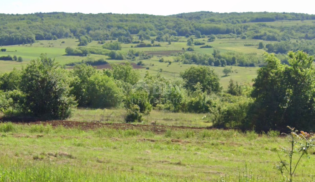 Pozemok Na predaj - ISTARSKA GROŽNJAN