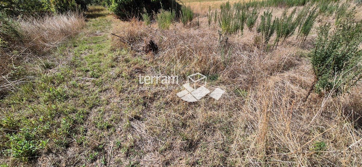 Land For sale - ISTARSKA VODNJAN