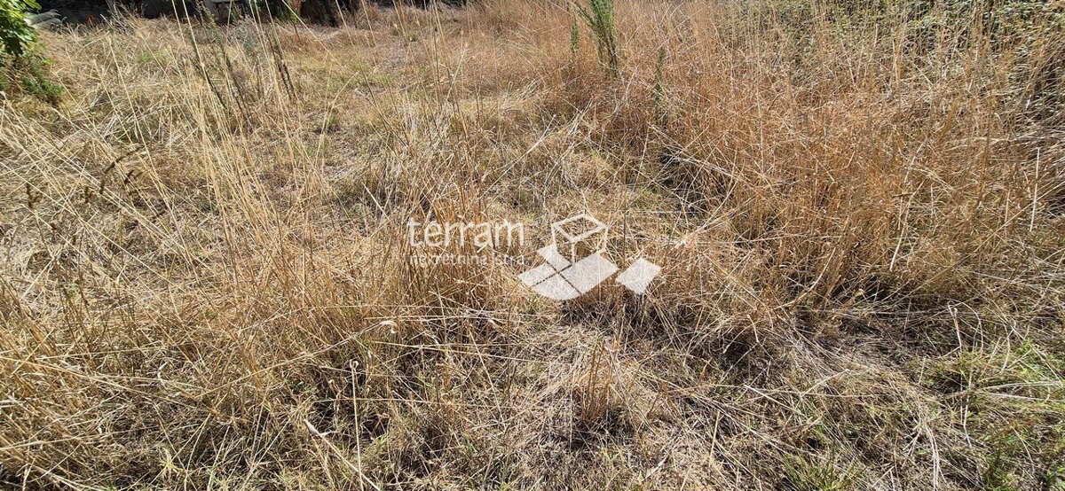 Land For sale - ISTARSKA VODNJAN