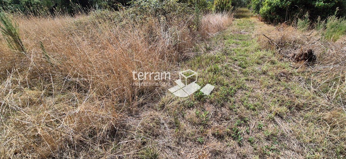 Land For sale - ISTARSKA VODNJAN