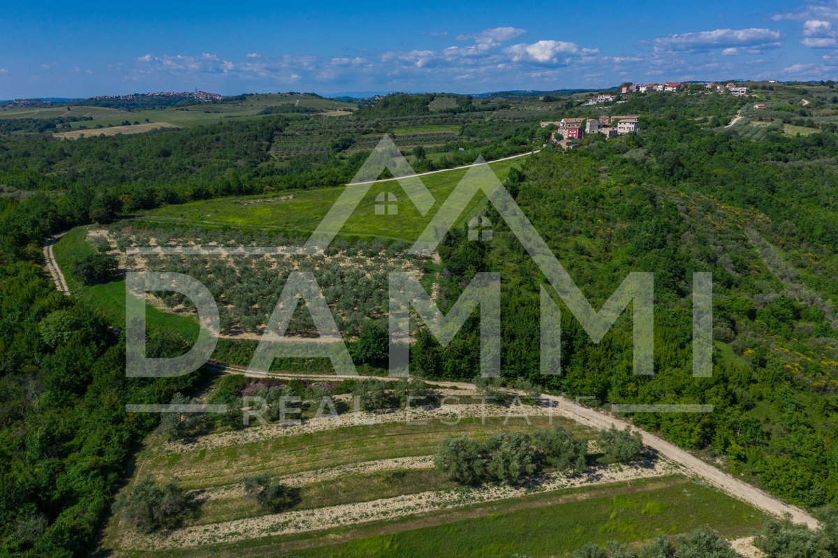 Dom Na predaj - ISTARSKA BUJE